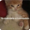 Ya duérmete o t conquisto