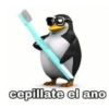 cepillate el ano