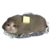 Sad triste 11