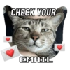 CHECK YOUR EMAIL