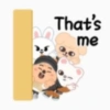 Skzoo kakaotalk - Ver. 1 10