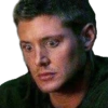 SPN Family 12