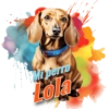 Dia de perro 5 18