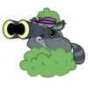Mapaches mal hechos 12
