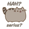 HAH? serius?