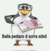 CO 500 phutterstock 500 Baila pedazo d sorra xdxd