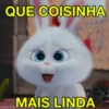 Memes que vc precisa ter 12