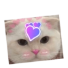 Gatitos heart 3 (mejores) 27