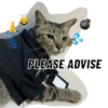 ELURITY IGN PLEASE ADVISE