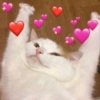 Heart Meme 💖🤪🤤🌸 15