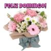 FELIZ DOMINGO!