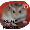 Memes del pro 8