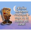 Bob cholo 19