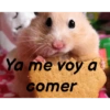 Memes del pro 9