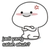 jadi yang salah akuh? "