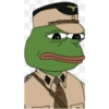 Sapo pepe 20