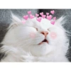 Stickers de Dabi 2 12