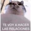 TE VOY A HACER LAS RELACIONES