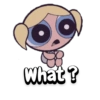 The PowerPuff Girls 18