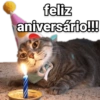 feliz aniversário!!!