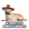 Tex Mex 8