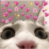 Stickers de Dabi 2 18