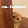 anu... Gomennasai