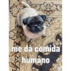 Jota Peg 7