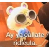 Ay ya cállate ridícula.