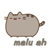 ( malu ah