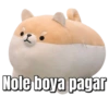 Nole boya pagar