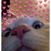 Stickers de Dabi 2 20