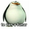 Shiposting stikers V1 20