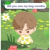BTS INSLAND MEME BR! 3 12