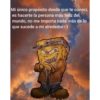 Bob cholo 29