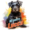 Dia del perro 4 9