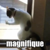 magnifique