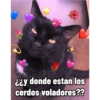 ¿¿y donde estan los cerdos voladores??
