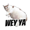 WEY YA
