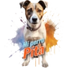 Dia de perro 5 7