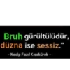 Bruh gürültülüdür, düzna ise sessiz." - Necip Fazıl Kısakürek -