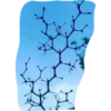 QUÍMICA ⚗️ 12