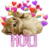 HOLI