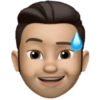 Memoji V1 13