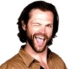 SPN Family 17