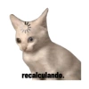 recalculando.