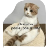 desculpa pensei com a xota