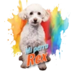 Dia de perro 5 5