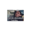 çok da sikimdeydi kardeş.