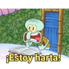Calamardo 24